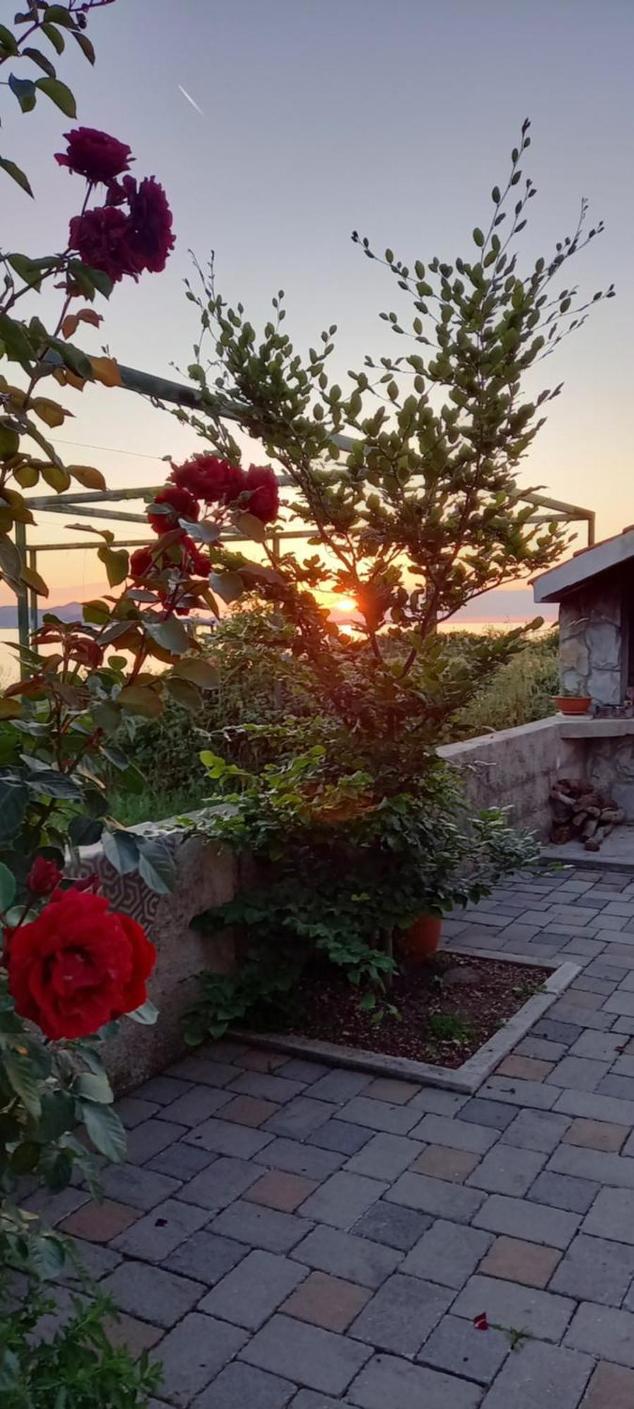 Mustapictanja Bibinje Exterior foto